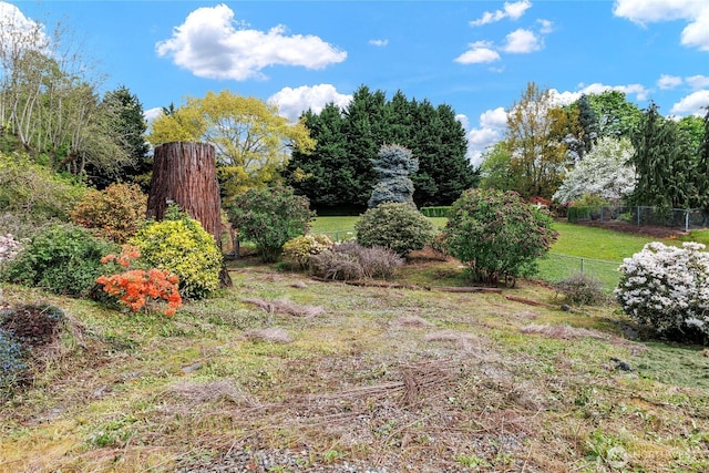 view of yard featuring fence