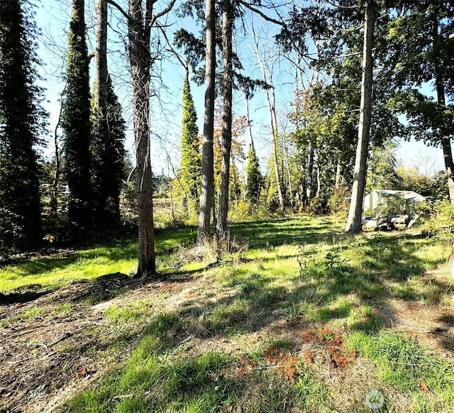 view of undeveloped land