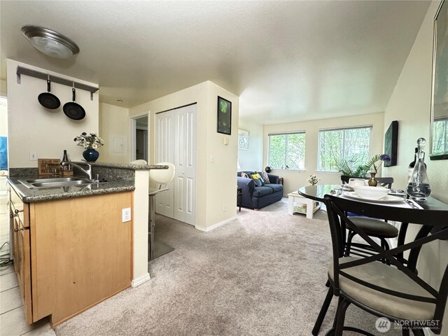 kitchen featuring light colored carpet, a sink, and open floor plan