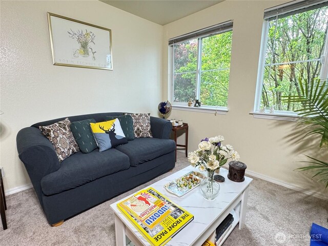 living area with baseboards, carpet flooring, and a healthy amount of sunlight