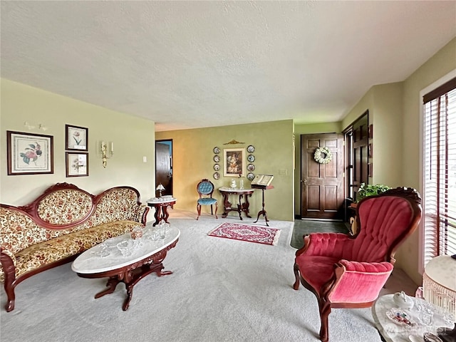 living area with carpet flooring and a textured ceiling