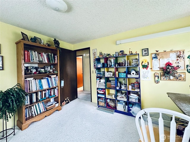 interior space featuring carpet flooring and a textured ceiling