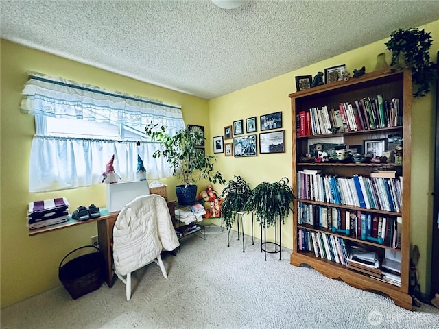 living area featuring a textured ceiling and carpet