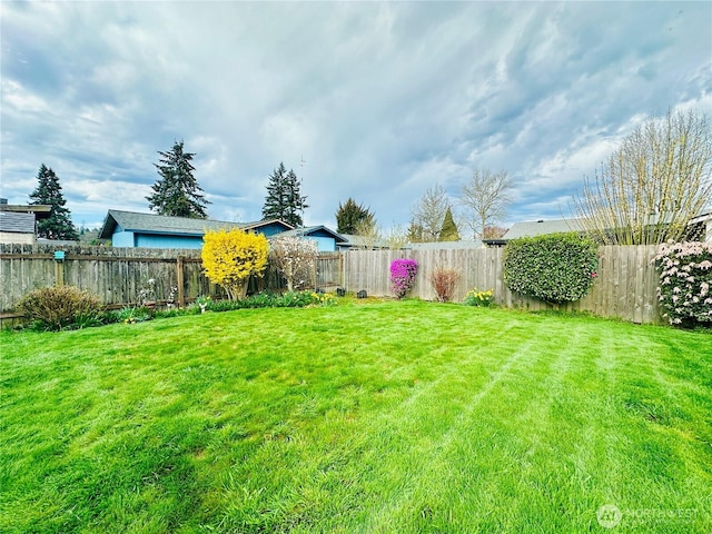 view of yard with a fenced backyard