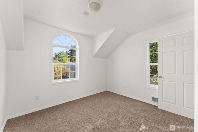 additional living space featuring a healthy amount of sunlight, baseboards, carpet, and visible vents