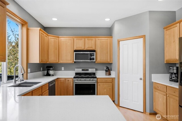 kitchen with plenty of natural light, a sink, appliances with stainless steel finishes, and light brown cabinetry