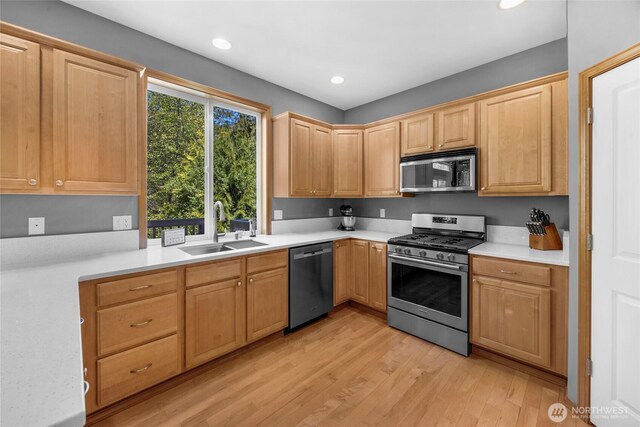 kitchen featuring a sink, light countertops, stainless steel appliances, and light wood-type flooring