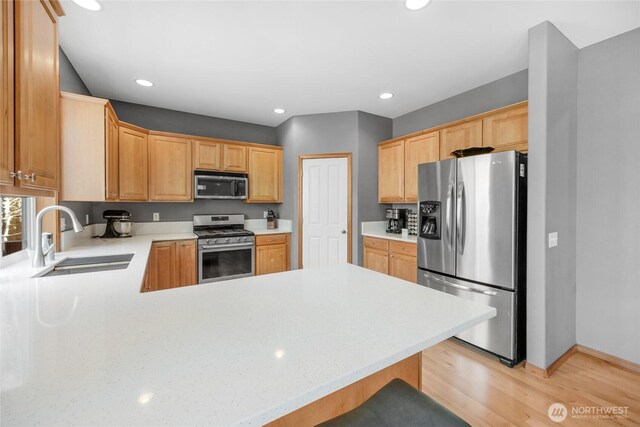 kitchen featuring a sink, light countertops, a peninsula, light wood-style floors, and stainless steel appliances