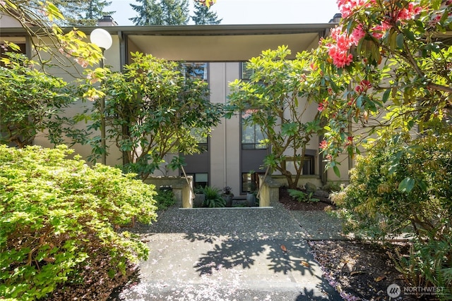 view of front of property featuring stucco siding