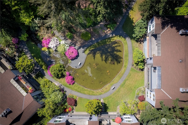 aerial view