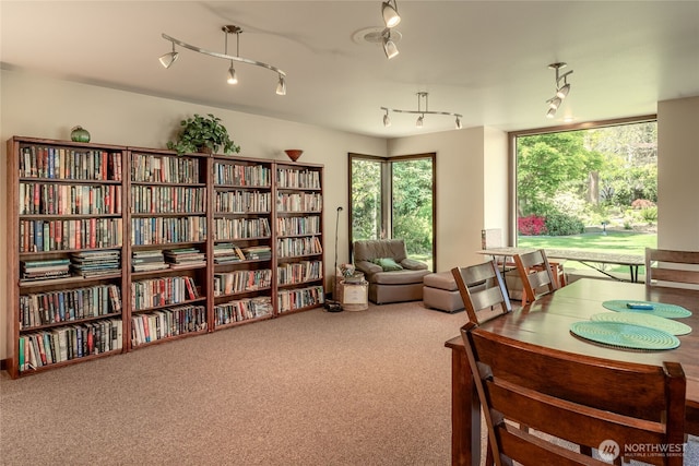 living area with carpet floors, bookshelves, and rail lighting