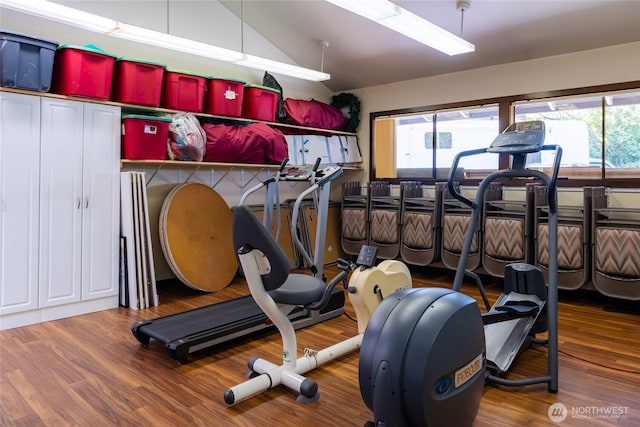 workout area with plenty of natural light, wood finished floors, and vaulted ceiling