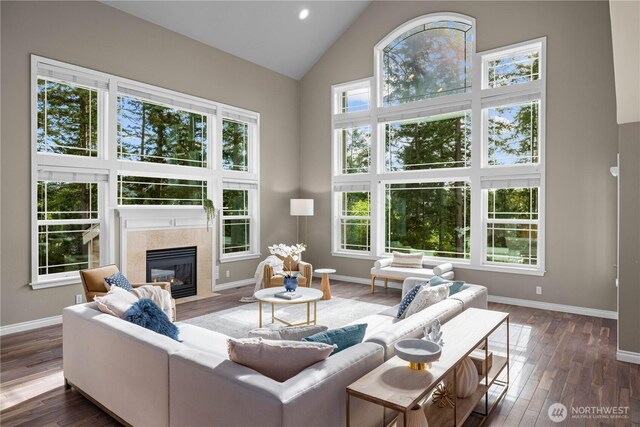 living room featuring a healthy amount of sunlight, high vaulted ceiling, baseboards, and a fireplace