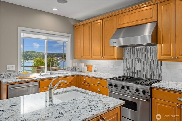 kitchen with stainless steel appliances, a sink, ventilation hood, and light stone counters