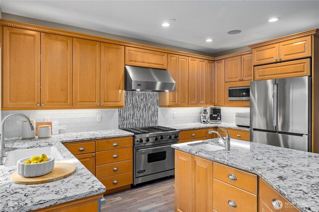 kitchen featuring light wood-style floors, a sink, ventilation hood, and stainless steel appliances