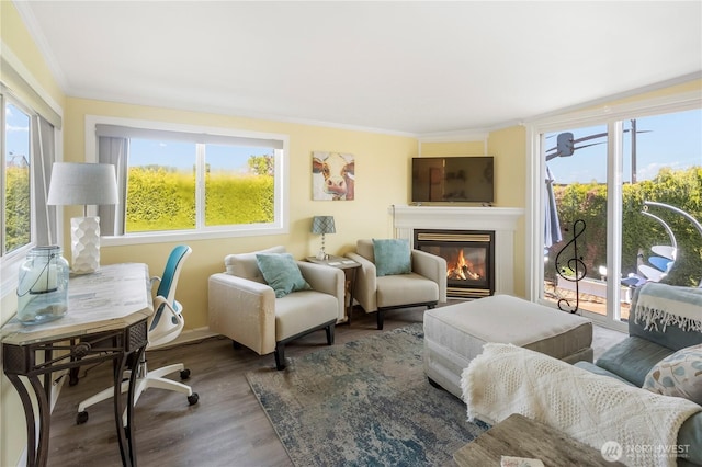 living room with baseboards, a glass covered fireplace, ornamental molding, and wood finished floors