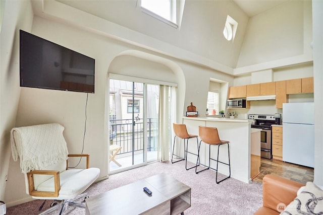 425 Vine St Unit 709, Seattle, WA 98121 - living area with baseboards, a high ceiling, and light colored carpet