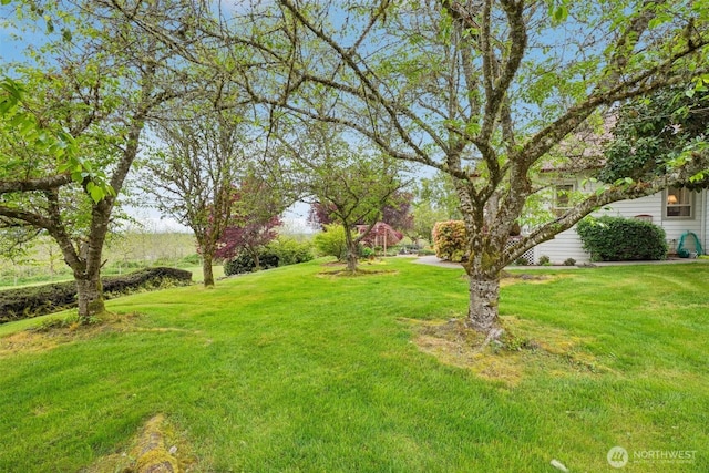 17600 NE 188th Ct, Brush Prairie, WA 98606 - view of yard