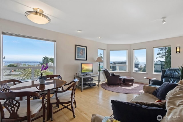 5726 Nakat Way, Blaine, WA 98230 - living room featuring a healthy amount of sunlight and light wood-style floors