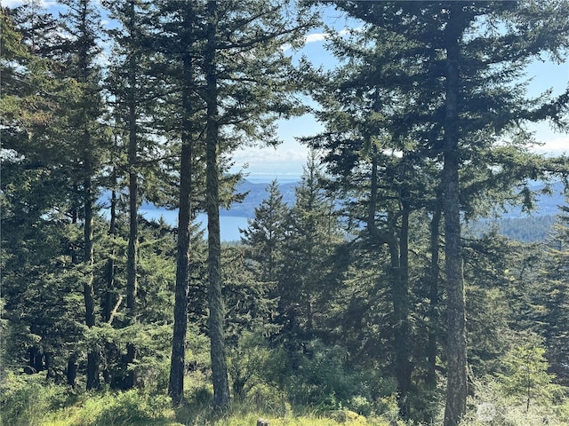 1052 Vusario Ln, Orcas Island, WA 98245 - view of nature featuring a view of trees