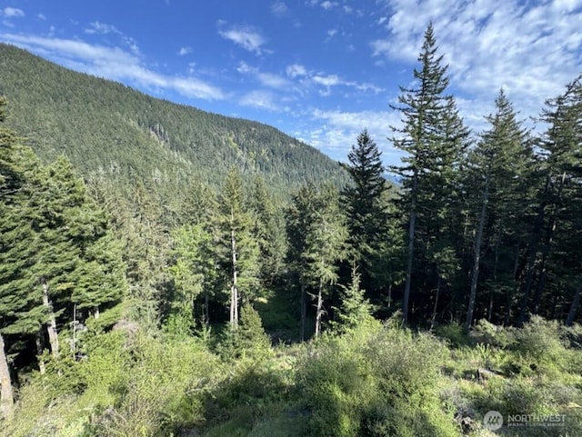 1052 Vusario Ln, Orcas Island, WA 98245 - property view of mountains featuring a view of trees