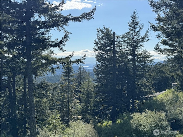 1052 Vusario Ln, Orcas Island, WA 98245 - view of mountain feature featuring a view of trees