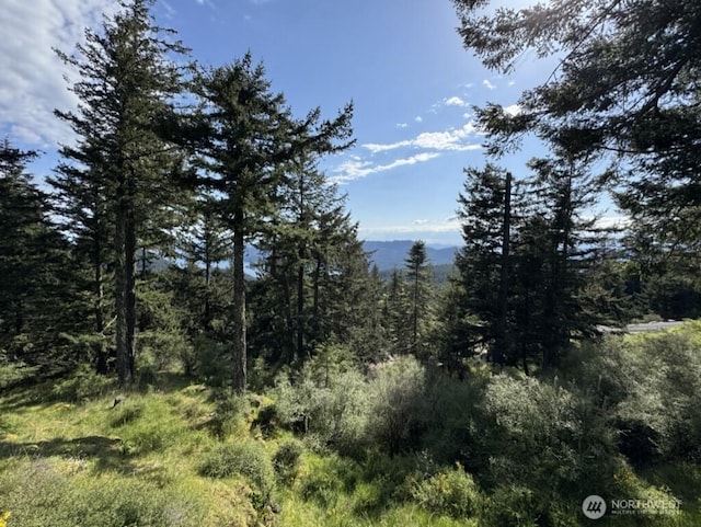 1052 Vusario Ln, Orcas Island, WA 98245 - view of local wilderness featuring a wooded view