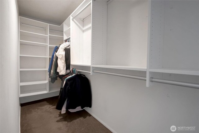 spacious closet with carpet