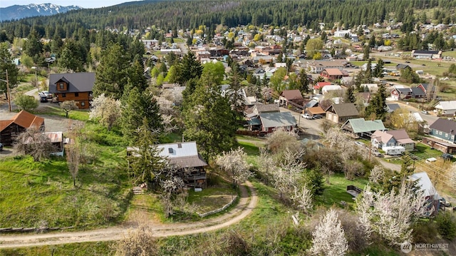 aerial view featuring a view of trees, a mountain view, and a residential view