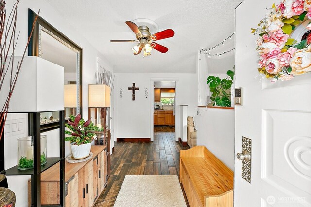 hall featuring baseboards and dark wood-type flooring