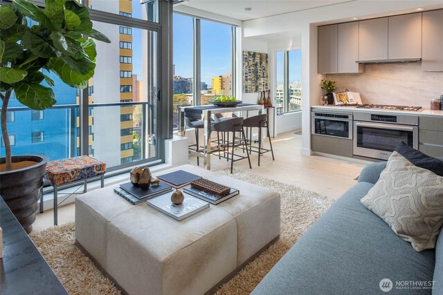 living room featuring a city view and light wood finished floors