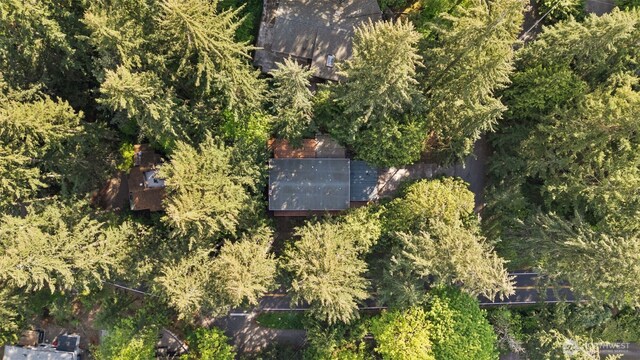 540 SW Fernwood St, Issaquah, WA 98027 - aerial view of property's location