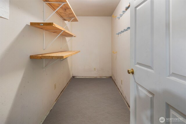 540 SW Fernwood St, Issaquah, WA 98027 - spacious closet with carpet