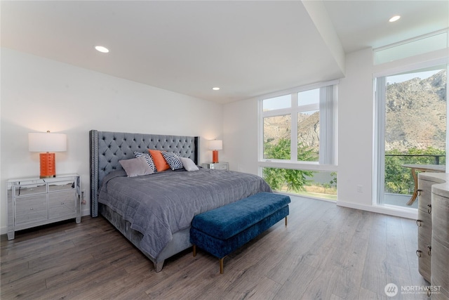 64 Orchard Pl, Orondo, WA 98843 - bedroom featuring recessed lighting, baseboards, multiple windows, and wood finished floors