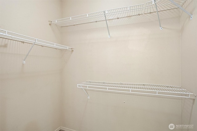 view of spacious closet