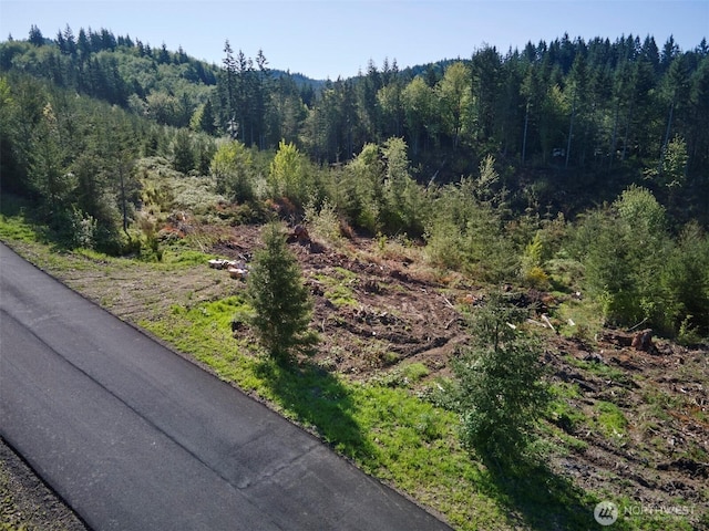 2 Bootjack Ln, Kelso, WA 98626