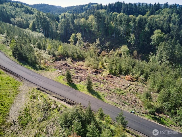 2 Bootjack Ln, Kelso, WA 98626