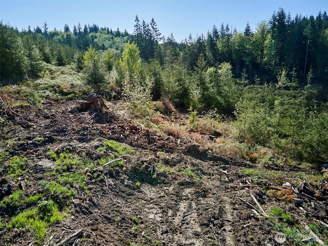 2 Bootjack Ln, Kelso, WA 98626