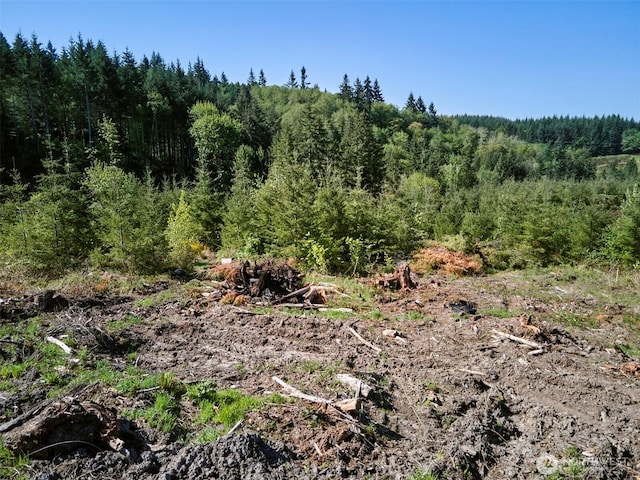 2 Bootjack Ln, Kelso, WA 98626