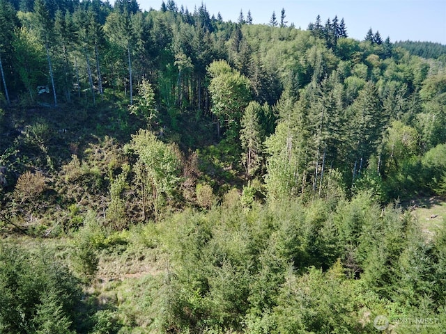 2 Bootjack Ln, Kelso, WA 98626