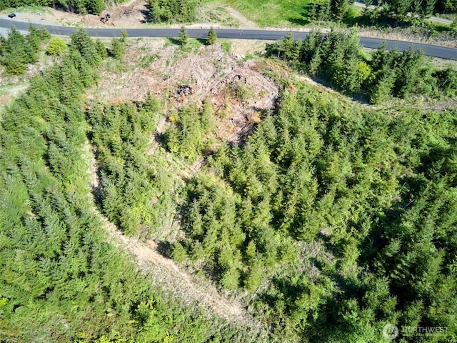 2 Bootjack Ln, Kelso, WA 98626