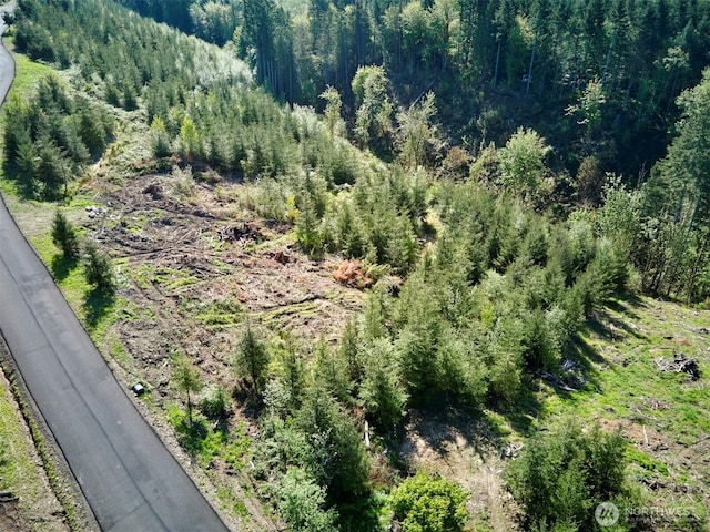 2 Bootjack Ln, Kelso, WA 98626