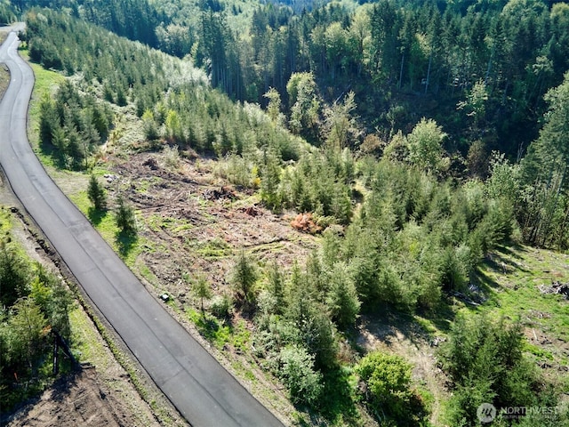 2 Bootjack Ln, Kelso, WA 98626
