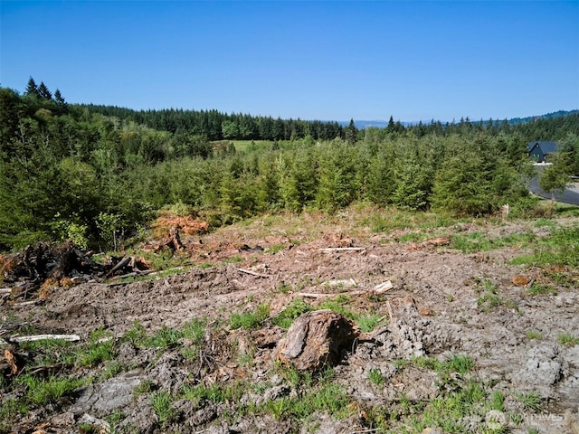 2 Bootjack Ln, Kelso, WA 98626
