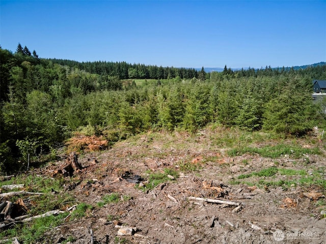2 Bootjack Ln, Kelso, WA 98626