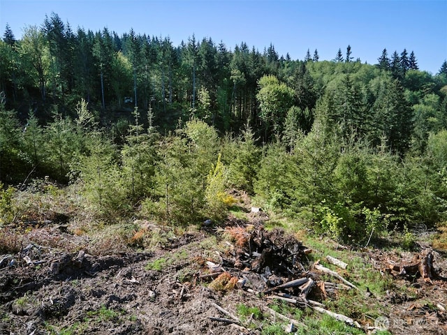 2 Bootjack Ln, Kelso, WA 98626