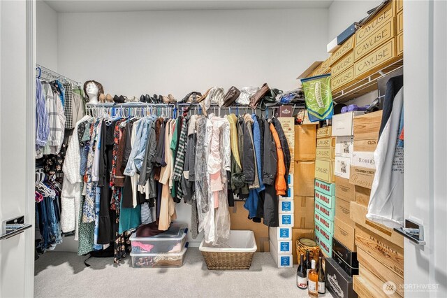walk in closet featuring carpet floors