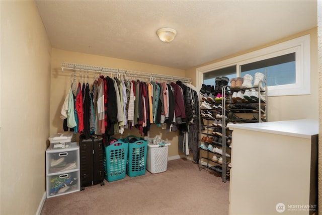 walk in closet featuring carpet