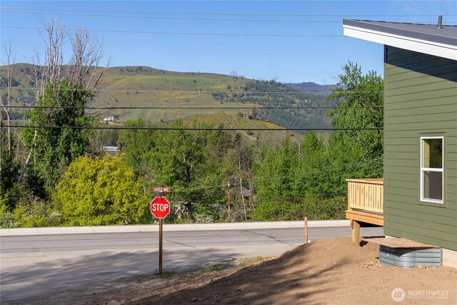 428 Castle Ave, Winthrop, WA 98862 - view of yard featuring a mountain view