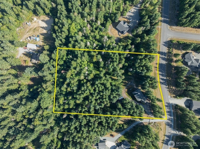 16304 Ap Tubbs Rd E, Buckley, WA 98321 - photo 36